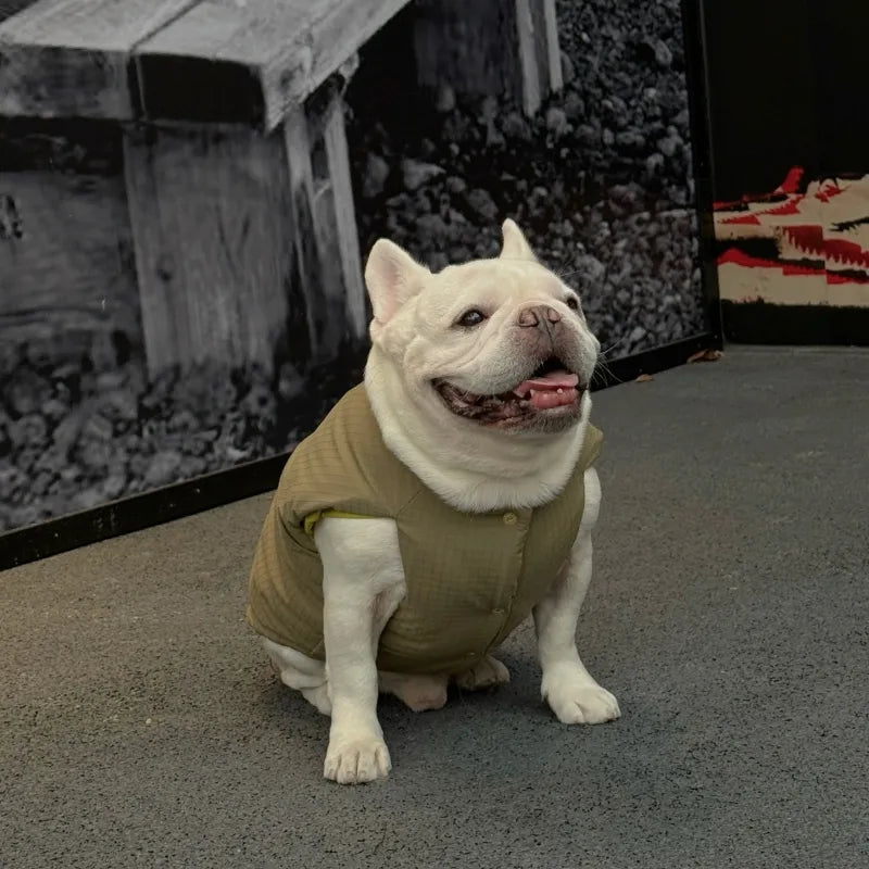 Premium Reversible Dog Winter Vest - Mustard Gold & Sage Green