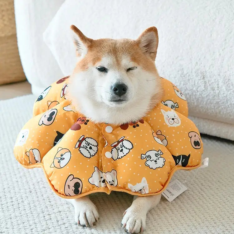 Soft Dog Cone