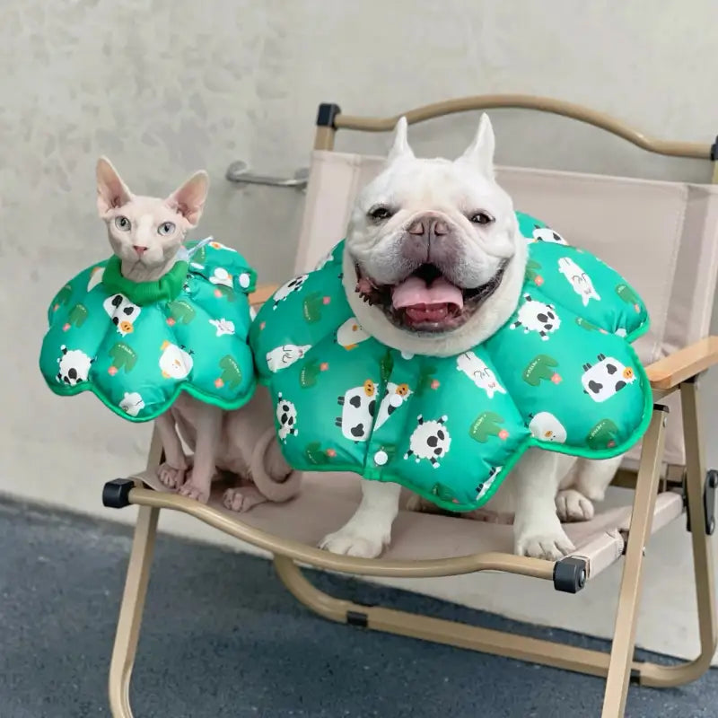 Soft Dog Cone