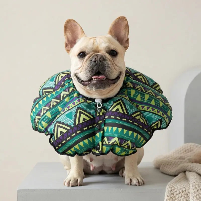 Soft Cone for Dogs
