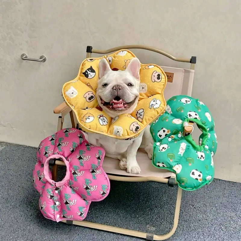 Soft Dog Cone