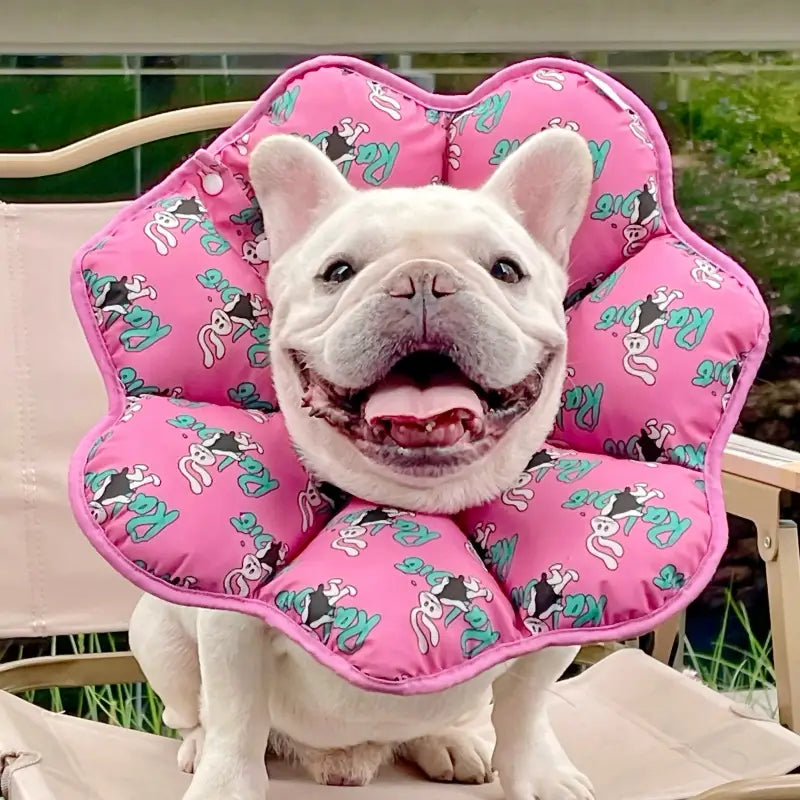 Soft Dog Cone