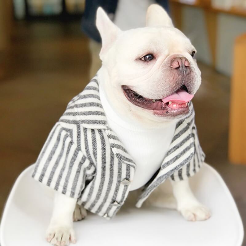 Wedding Dog Suit Set