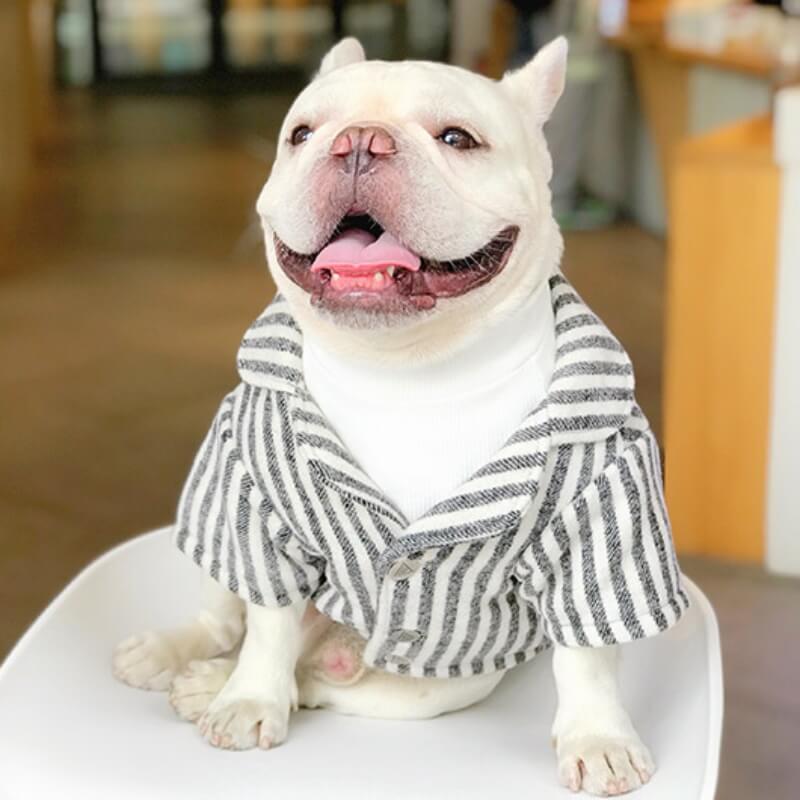 Wedding Dog Suit Set