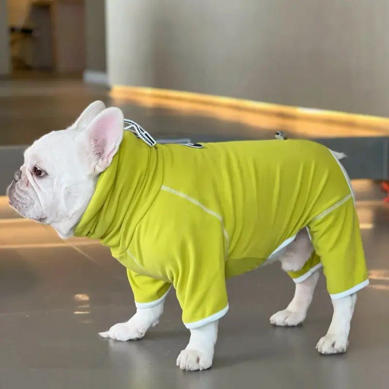 Matcha Anti Shedding Bodysuit