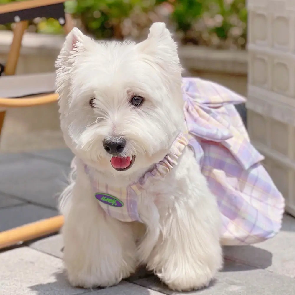 Purple JK Plaid Dog Dress