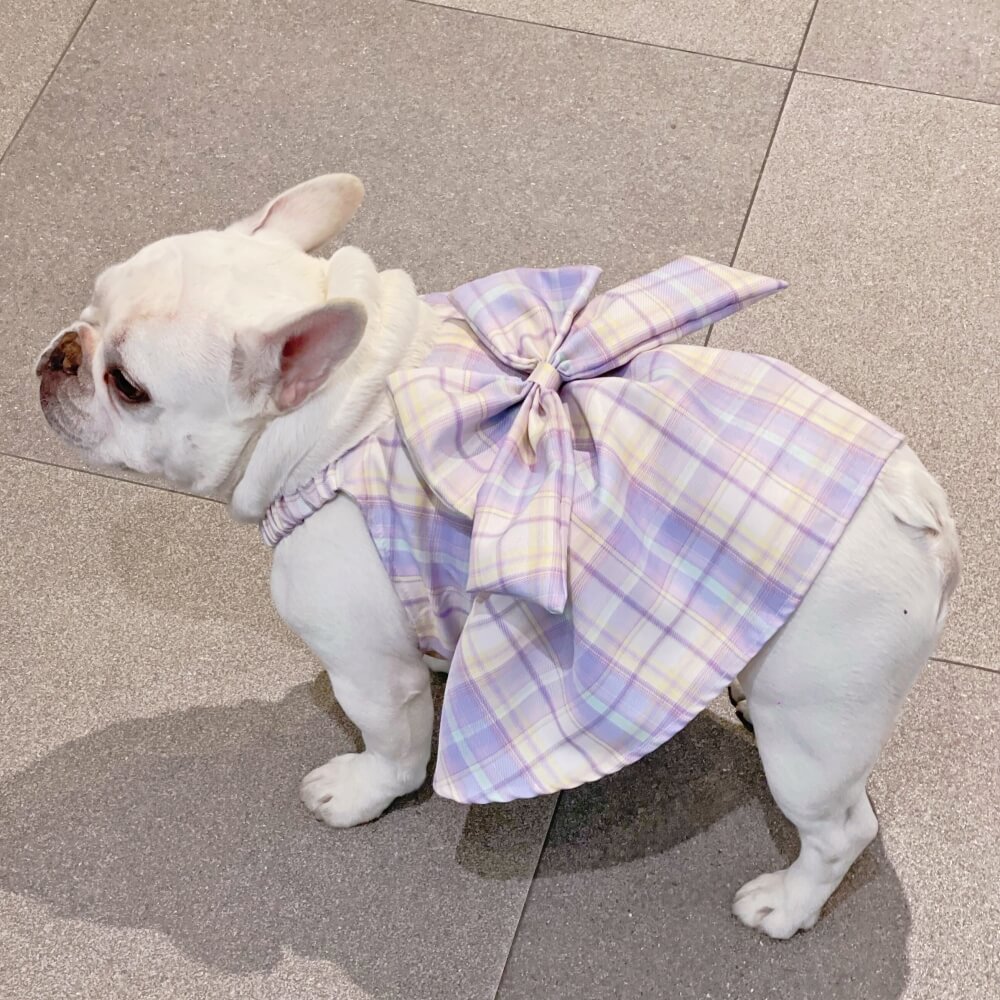 Purple JK Plaid Dog Dress
