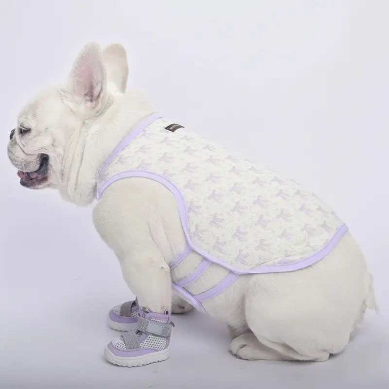 Small Dog Sandals