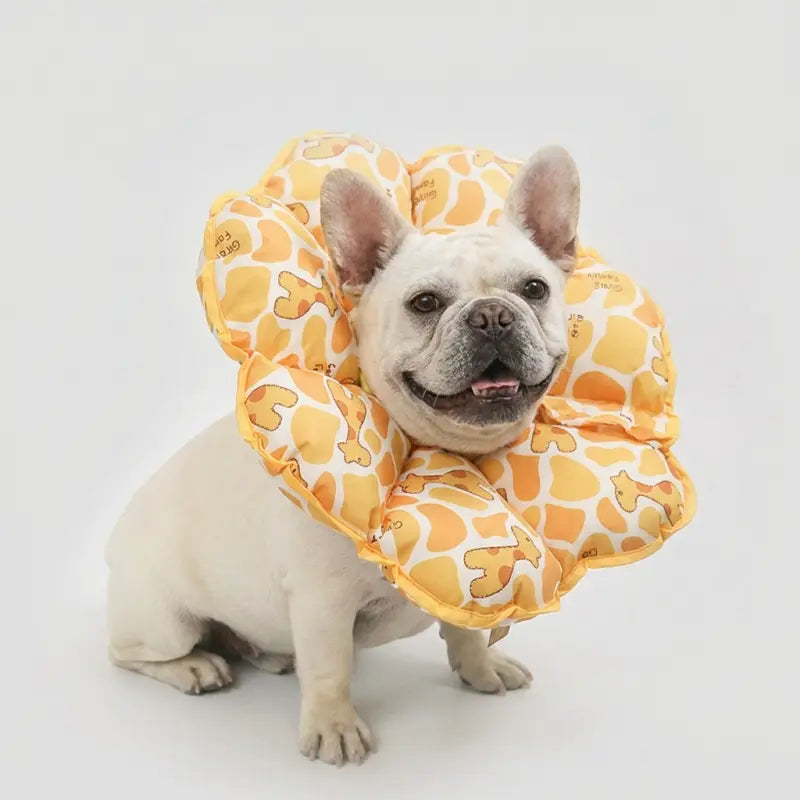Soft Cone for Dogs