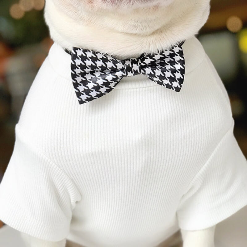 Wedding Dog Suit Set