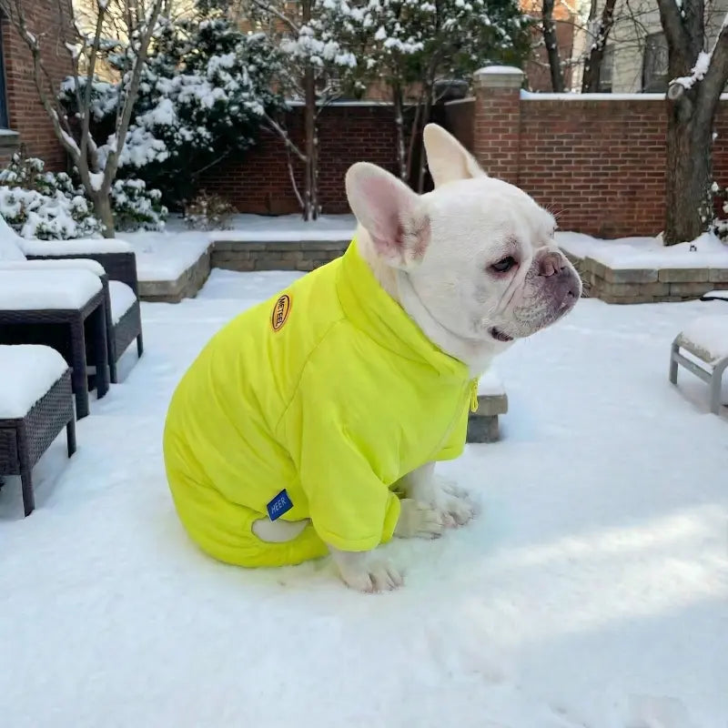 Dog Snowsuit - Lime Glow
