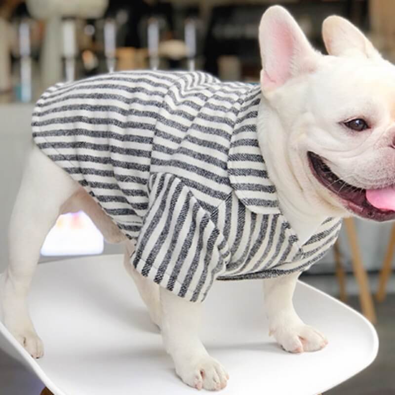 Wedding Dog Suit Set