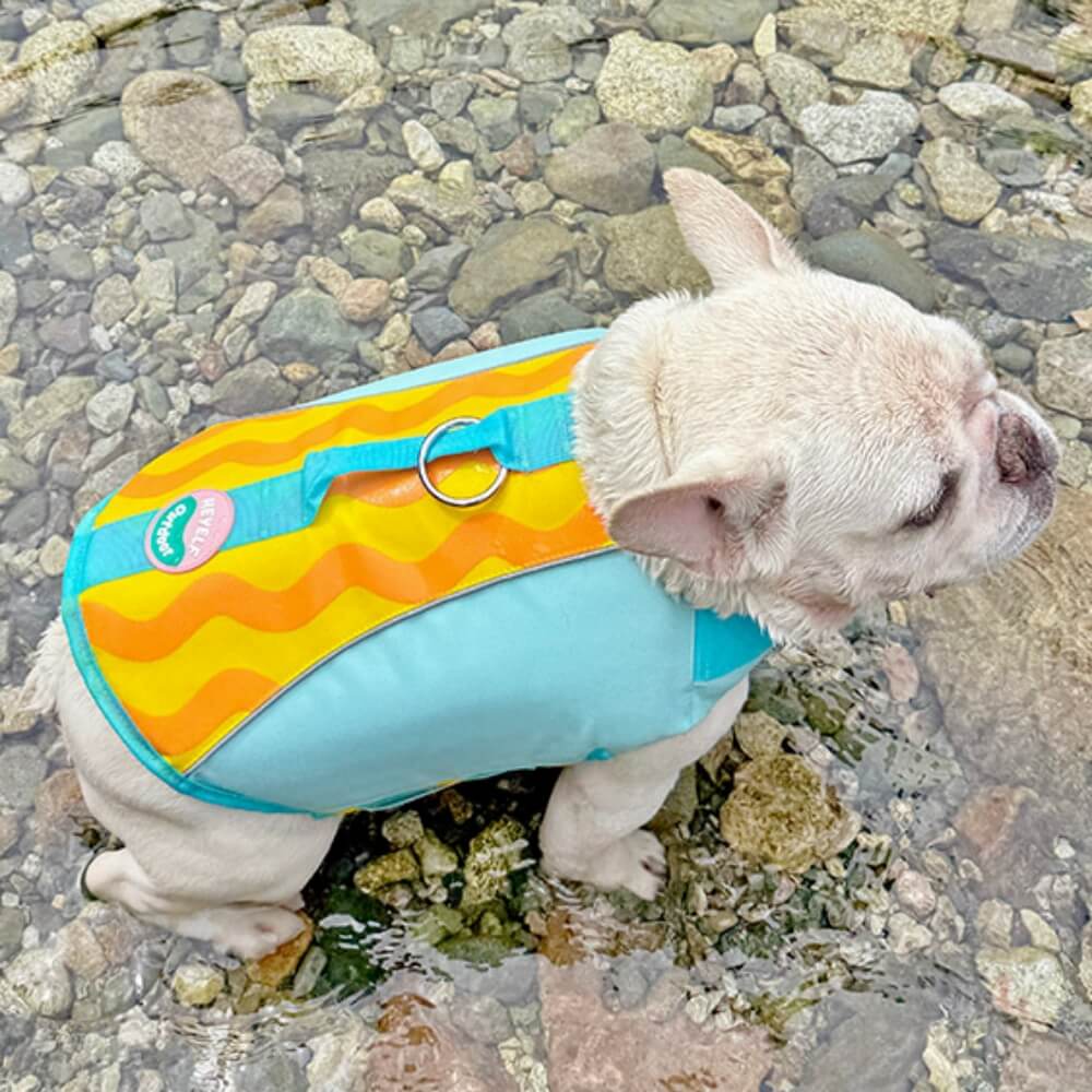 Dog Life Jackets