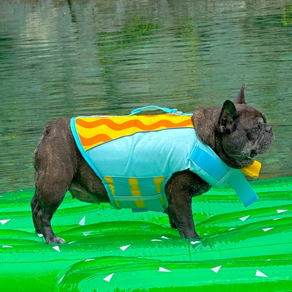 Dog Life Jackets