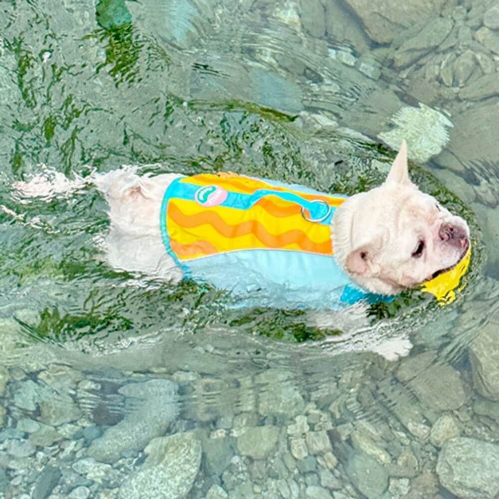 Dog Life Jackets