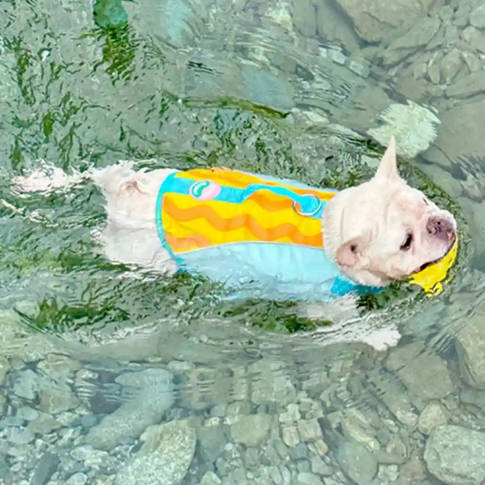 Dog Life Jackets