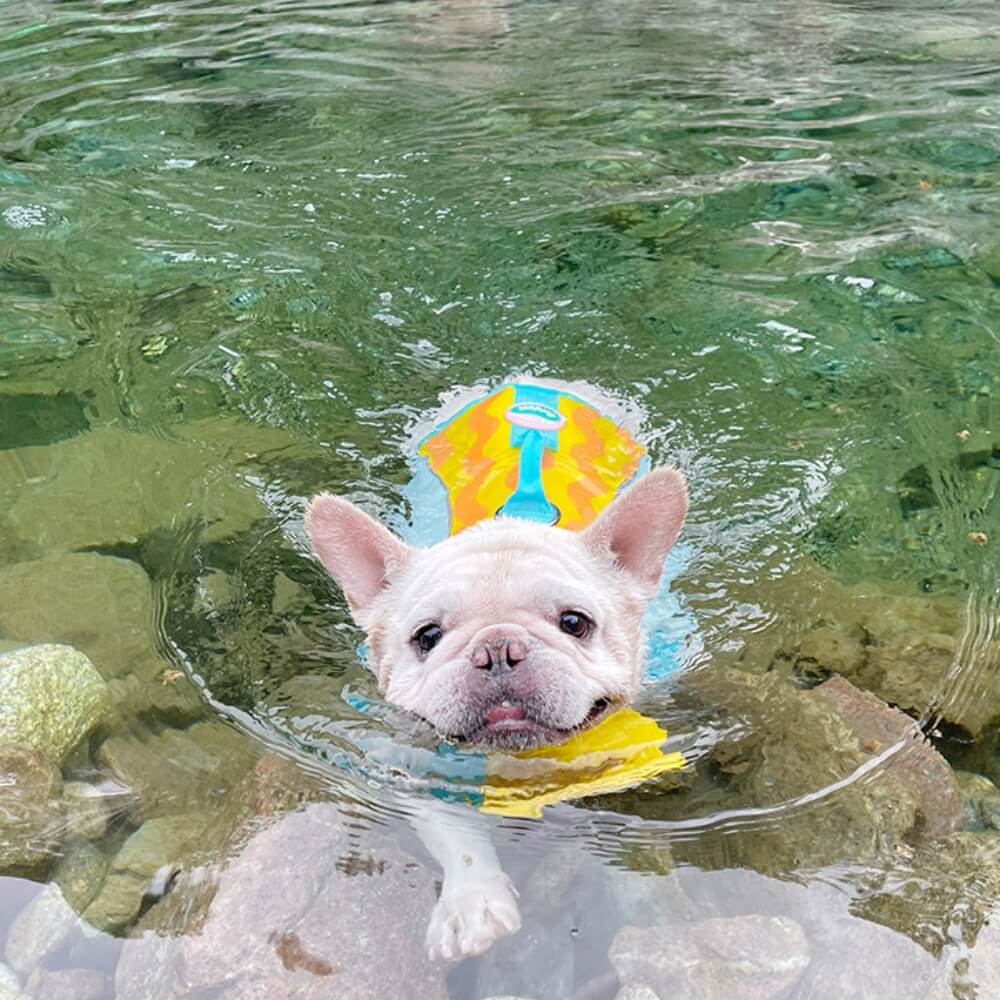 Dog Life Jackets
