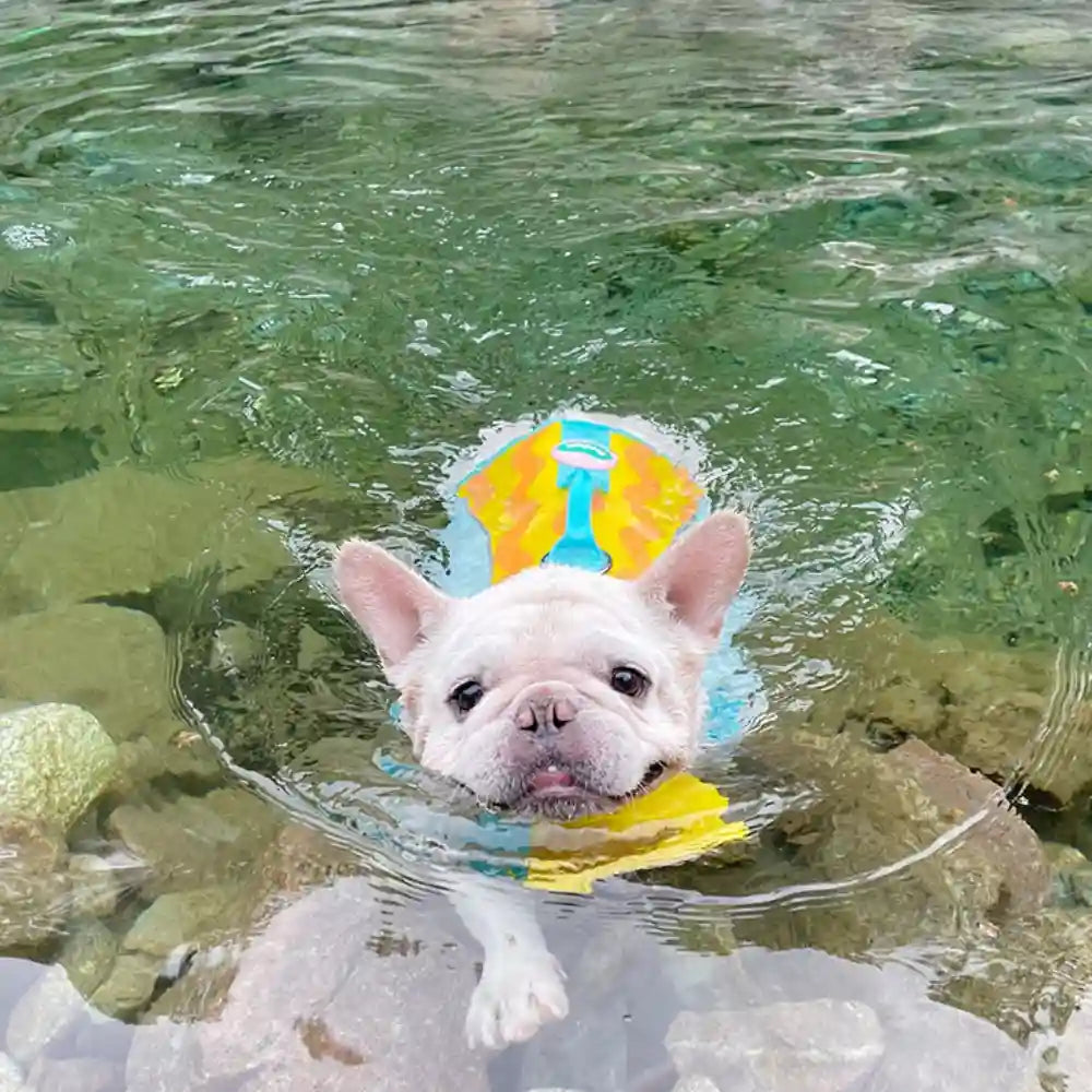 Dog Life Jackets