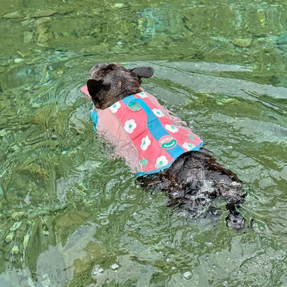 Dog Life Jackets