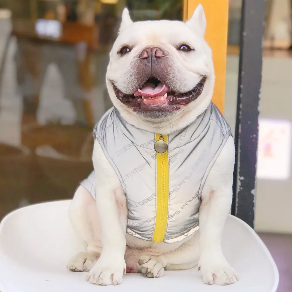 Reflective Dog Vest
