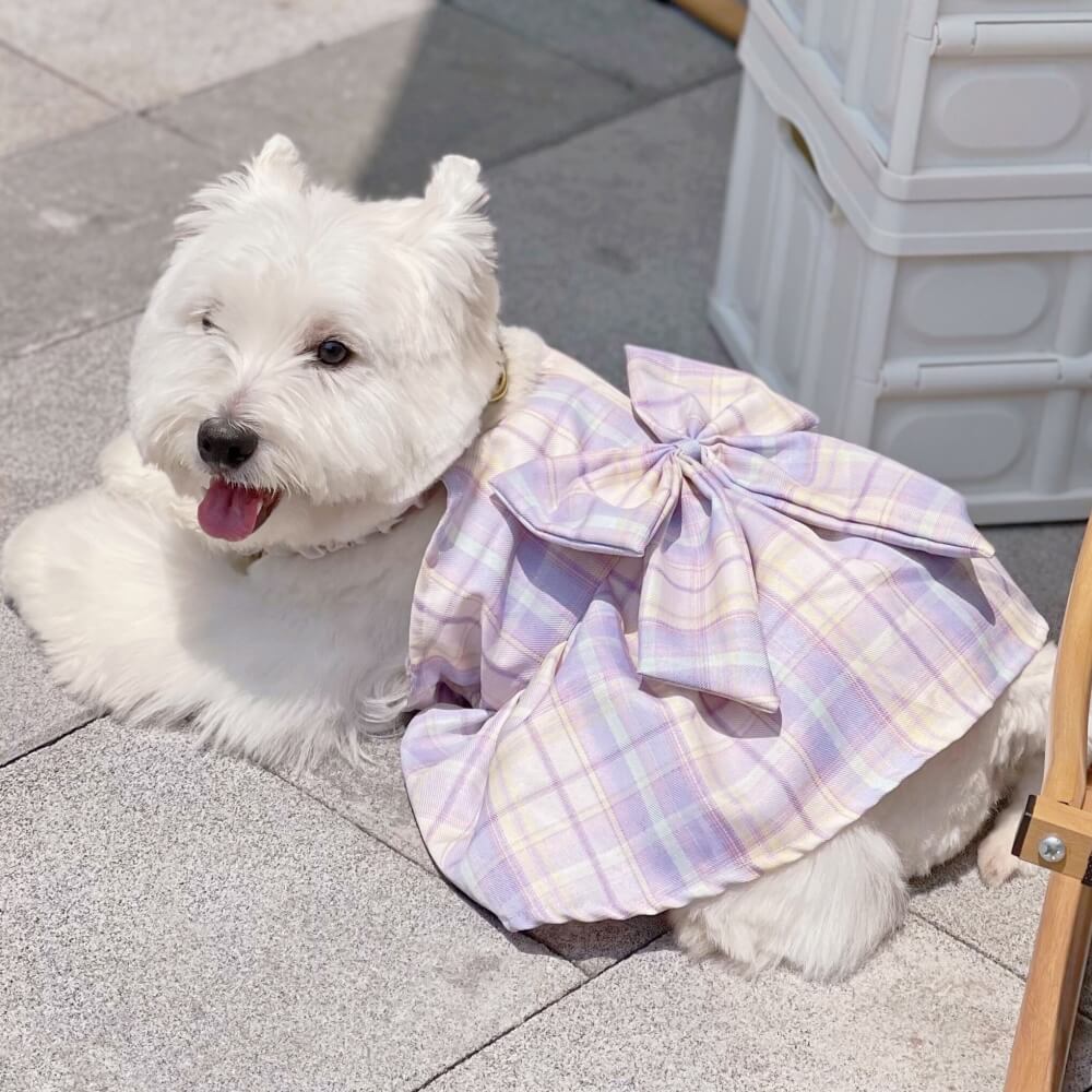 Purple JK Plaid Dog Dress