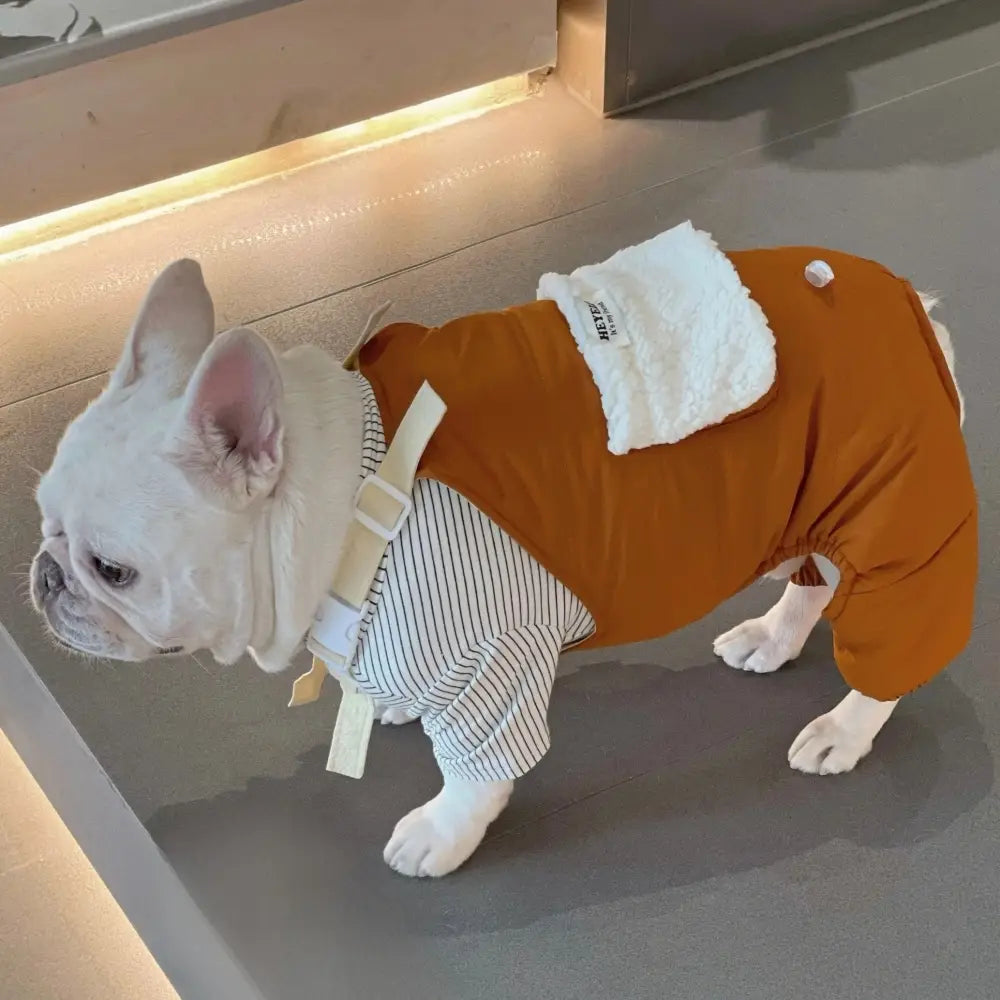 Dog Suspender Pants