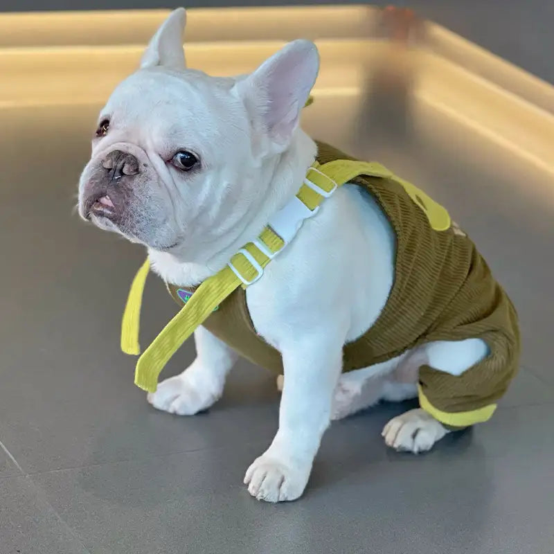 Dog Overalls - Olive Green