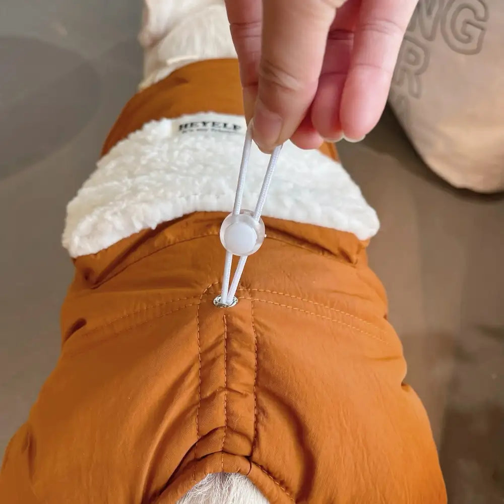 Dog Suspender Pants