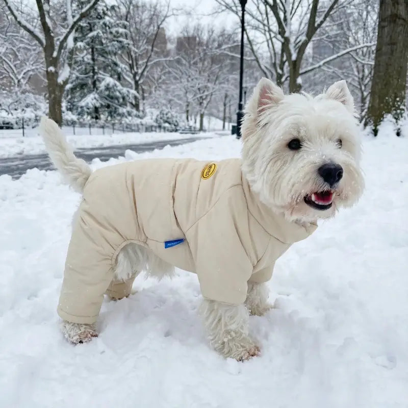 Dog Snowsuit - Cloud Cream