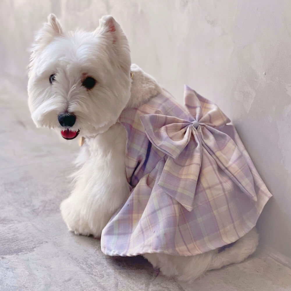 Purple JK Plaid Dog Dress