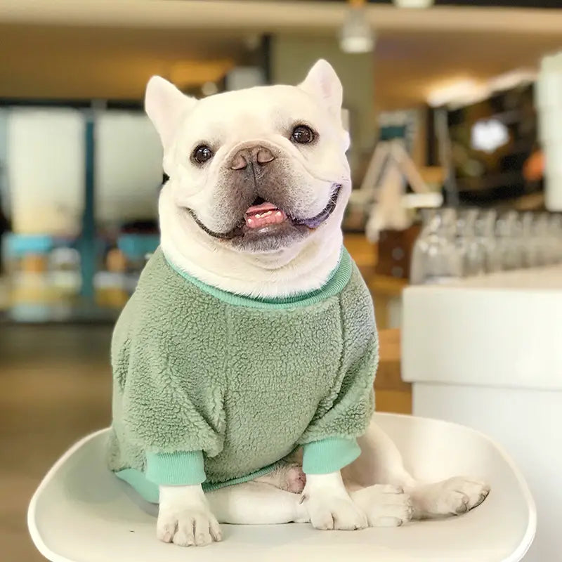 Cozy Fleece Dog Sweatshirt - Pink