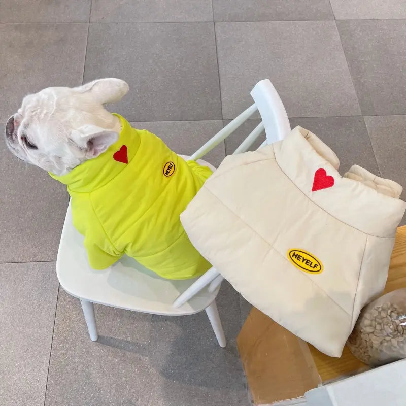 Dog Snowsuit - Lime Glow