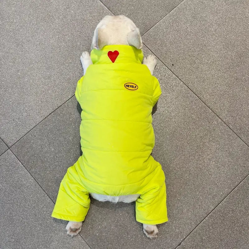 Dog Snowsuit - Lime Glow