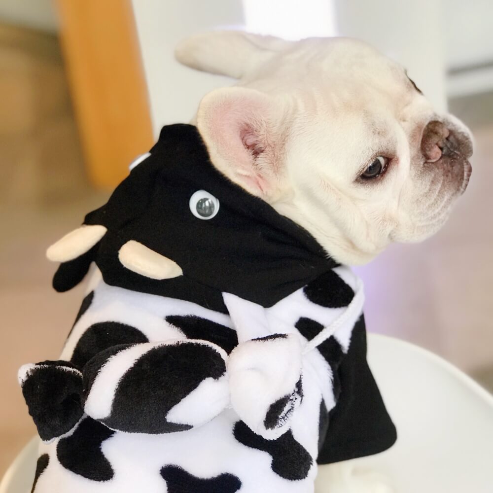 Cow Dog Hoodies