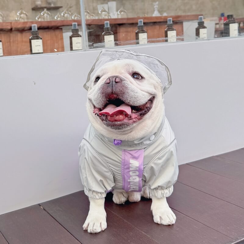Dog Raincoat Full Coverage - Motorcycle Dog