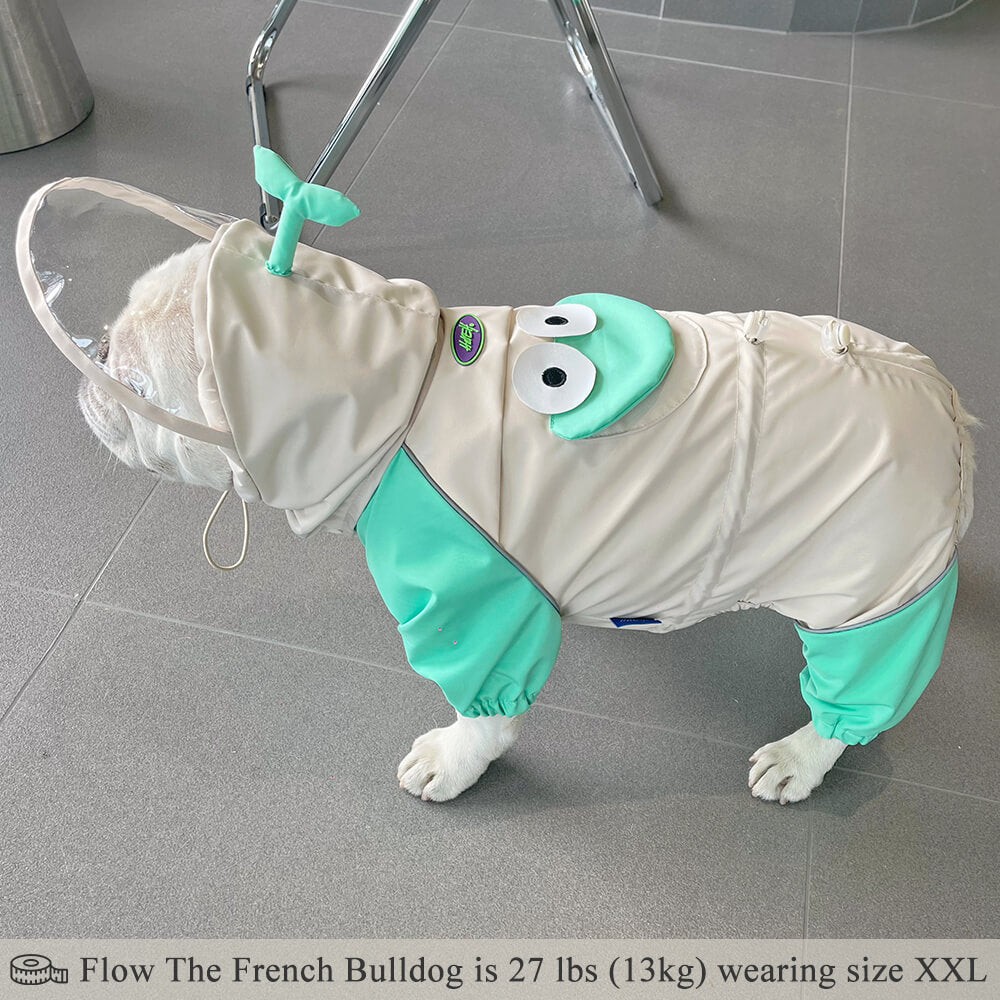 Dog Raincoat Full Coverage - Frog
