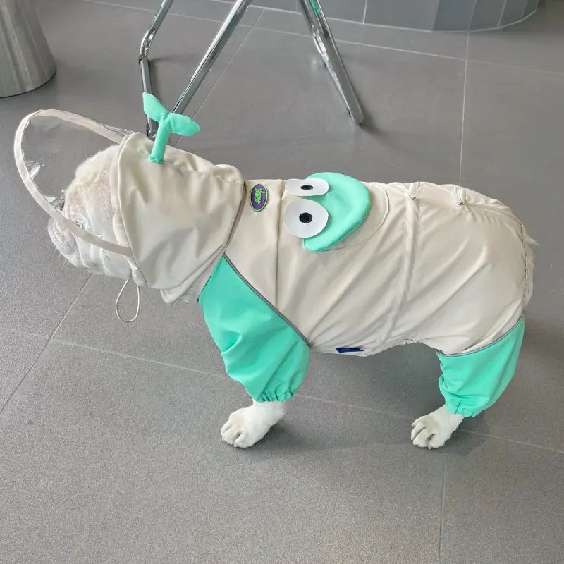 Dog Raincoat Full Coverage - Frog
