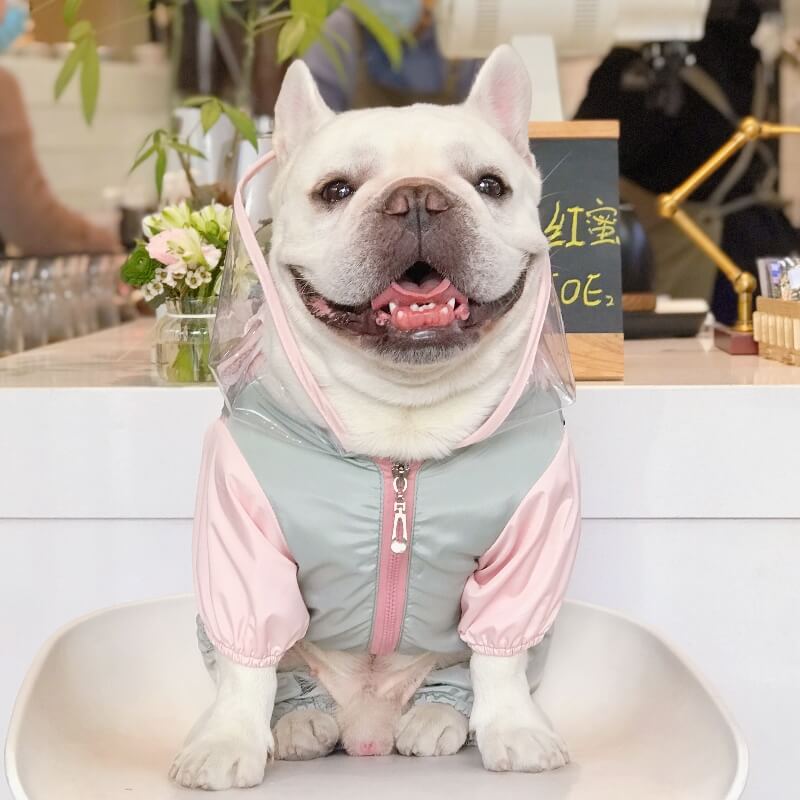 Pink Dog Raincoat Full Coverage - Unicorn