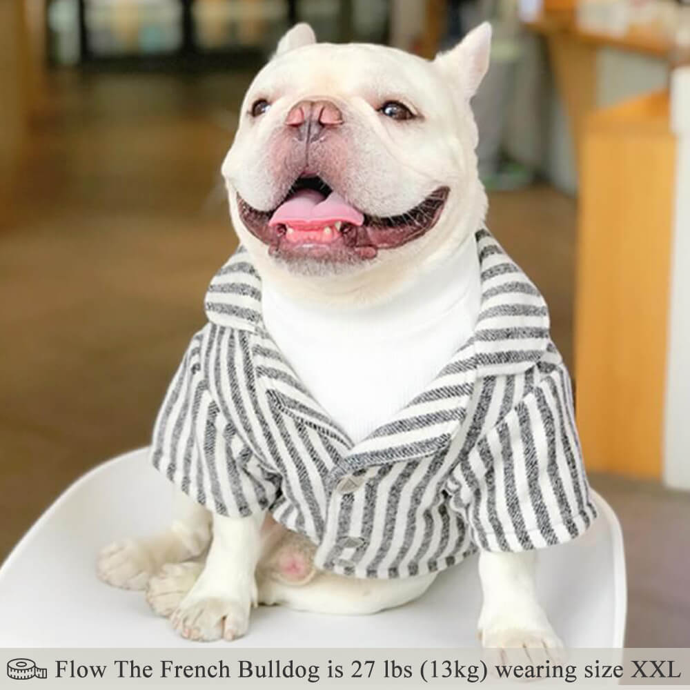 Wedding Dog Suit Set