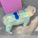Caterpillar Dog Pajamas