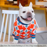 Christmas Argyle Dog Sweater