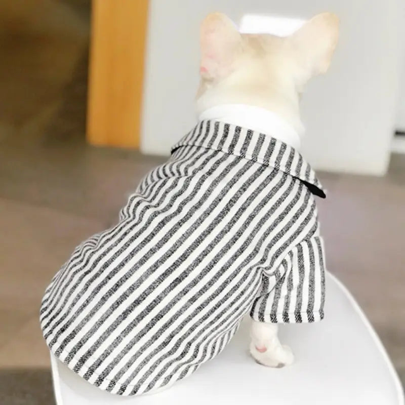 Wedding Dog Suit Set