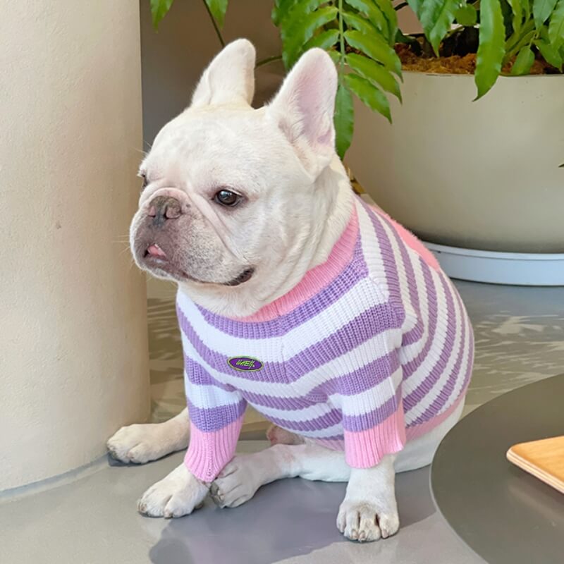 Tulip Dog Sweater