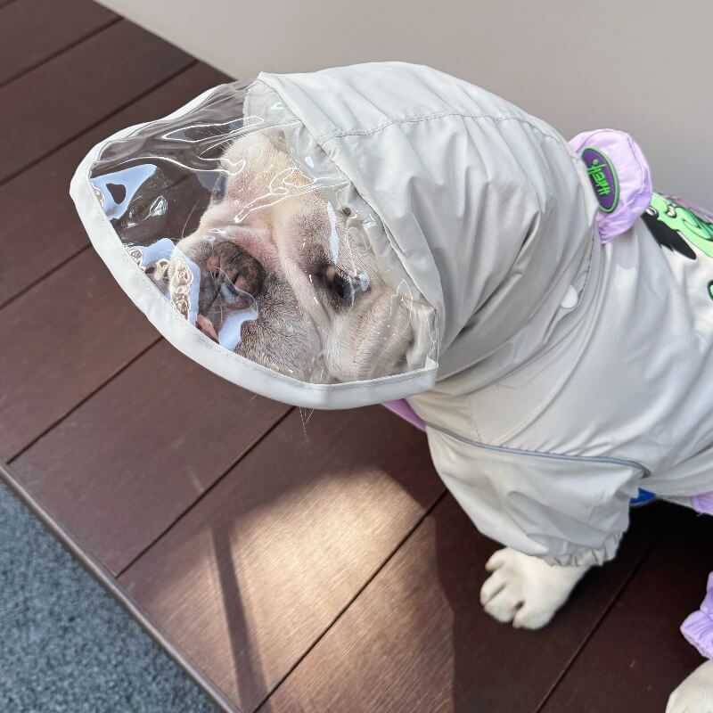 Dog Raincoat Full Coverage - Motorcycle Dog