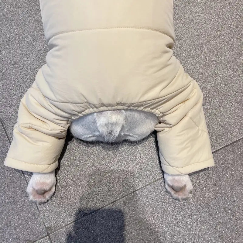 Dog Snowsuit - Cloud Cream