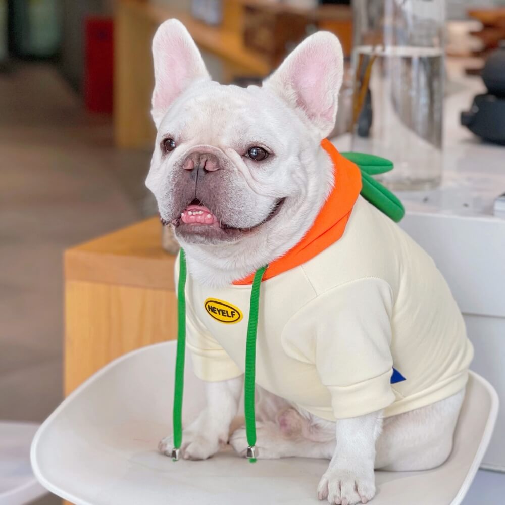 Funny Dog Hoodies