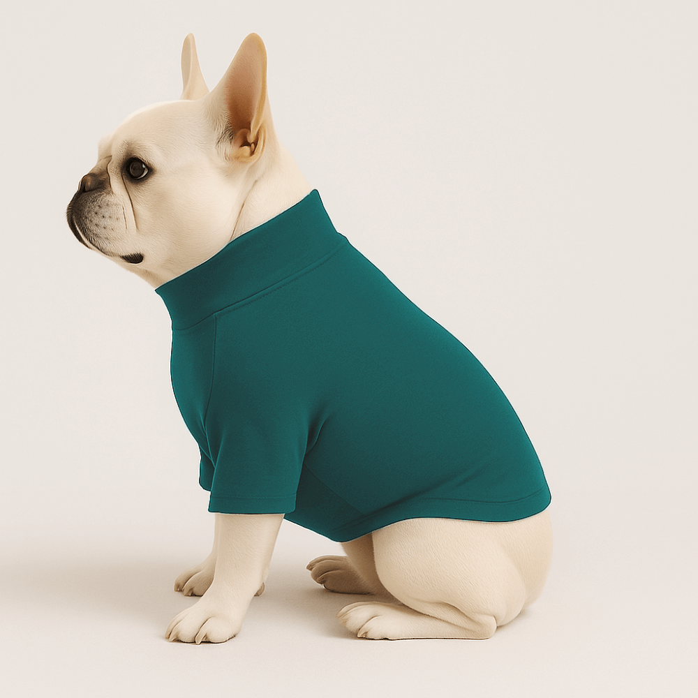 Pre-order Essentials Dog Sweatshirts