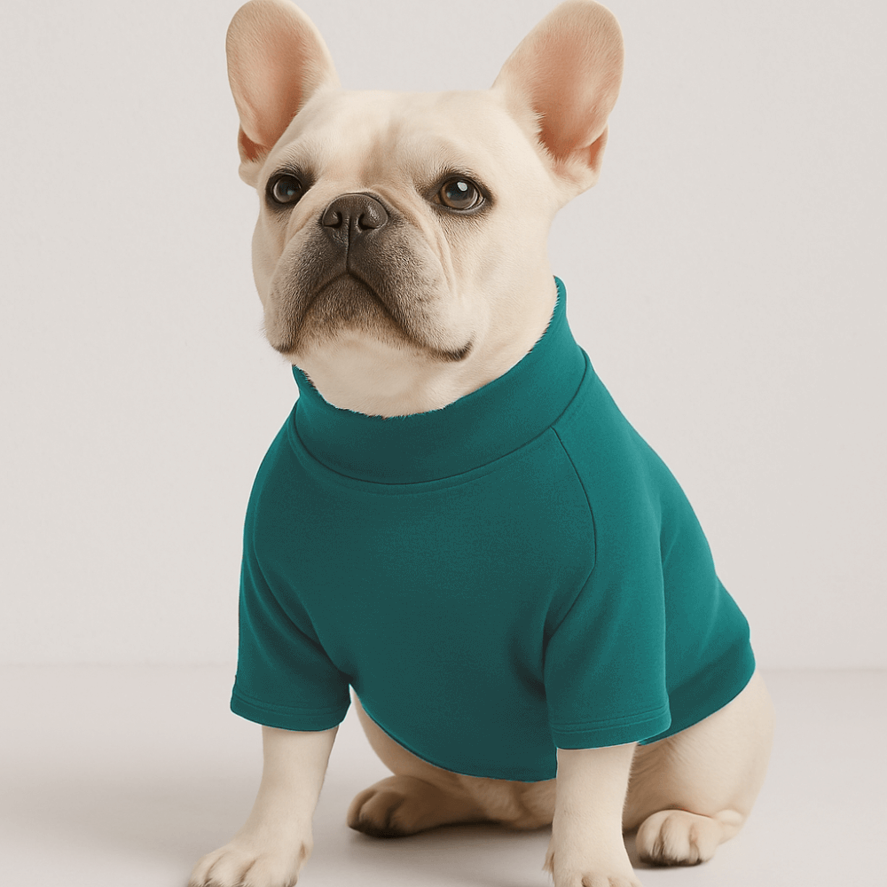 Pre-order Essentials Dog Sweatshirt