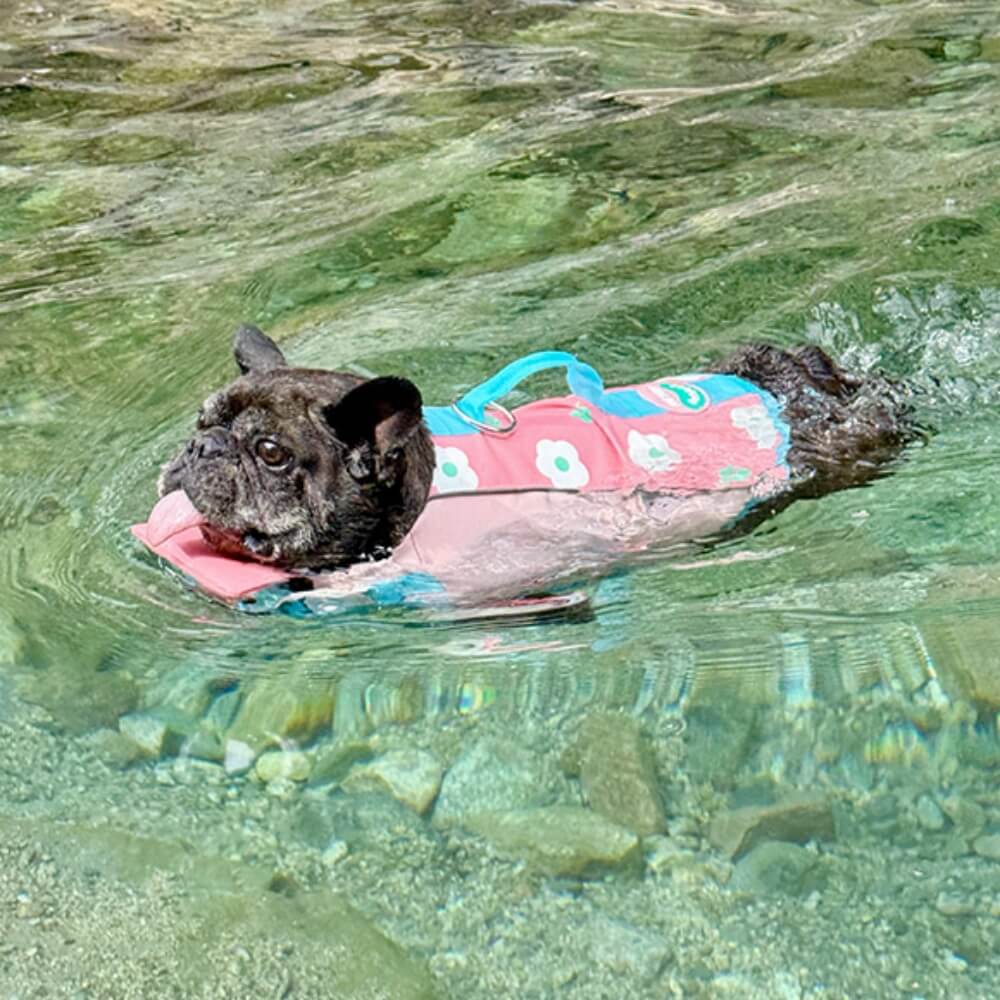 Dog Life Jackets