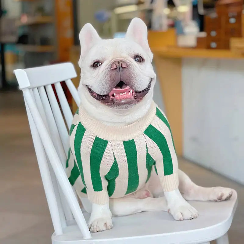 Apple Dog Sweater